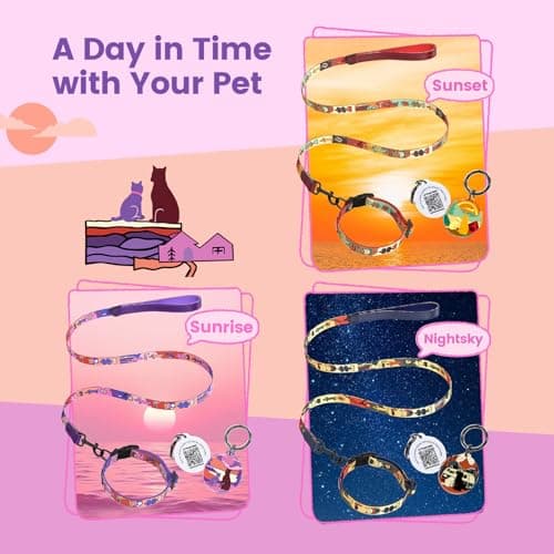 PawView Dog Collar and Leash Set, QR Tag Adjustable Pet Collar, 5 FT Heavy Duty Dog Leash, Padded Handle, Quick Release Buckle, Metal Ring, 360° Swivel Clip for Medium Dogs Walking Running (Purple, M) - Thumbnail 2