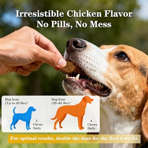 Vialoe Advanced Dog Hip & Joint Chews - Concentrated with Glucosamine, Chondroitin, High-Potency MSM & 7X Omega-3-185 Chicken Chews for All Breeds - Supports Joint Pain Relief & Senior Dog Mobility - Thumbnail 5