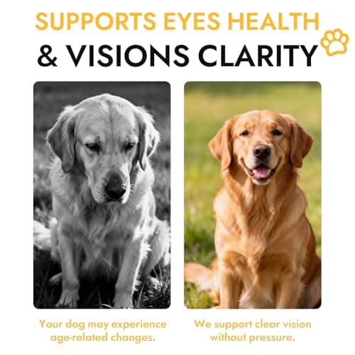 Bright Pup Dog Vision Chews - Eye Health Supplement for Dogs, Bilberry, Omega-3, Vitamins A, C & E, Supports Vision Clarity & Eye Health, Bacon Flavor, 30 Soft Chews(1PC) - Thumbnail 4