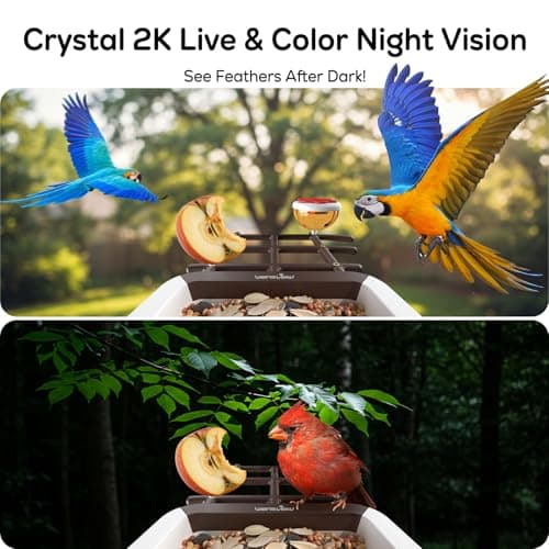wansview Bird Feeder with Camera-Smart Bird Feeders for Outdoors Solar Powered, Birdhouse with Cam & Instant Alert, 2K Live Video, AI Identify Species, Ideal Gift for Tech Lovers, F1, Brown, 2.4G WiFi - Thumbnail 4