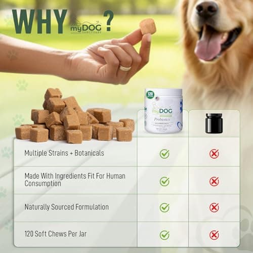 My Dog Sanctuary Probiotics for Dogs 120 Chews - Digestive Enzymes & Gut Health Support with Pumpkin Seed, Ginger Root – Dog Probiotics for Diarrhea, Bowel & Immune Support - Bacon Flavor, Soft Chews - Thumbnail 5