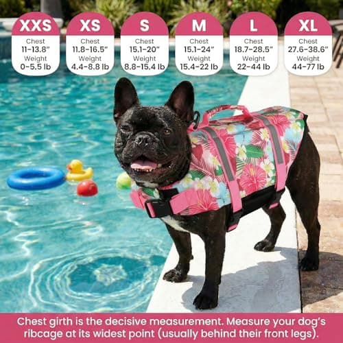 Doglay Dog Life Jacket, Dog Life Vest for Swimming Boating, Adjustable Puppy Life Jacket with Reflective Stripes, Superior Buoyancy Pet Swimming Vest for Small Medium and Large Dogs - Thumbnail 2