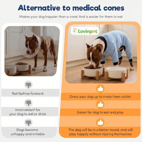 LovinPet Giant Dogs PJS Apparel, Blue and Yellow Stripe Dog Shirt, 4-Legged Design, Full Body Coverage, Large Breed Dog PJS, Pajamas for Pitbulls, Onesies for Dogs,XL - Thumbnail 6