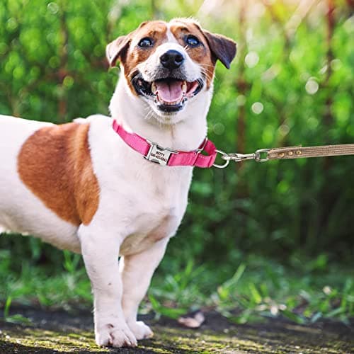 Personalized Martingale Dog Collar-Reflective Martingale Collars with Buckle, Custom Training Martingale Dog Collars Embroidered with Name and Phone Number for Small Medium Large Dogs - Thumbnail 4