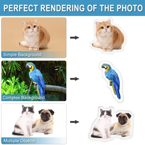 DGGW Customized Pillow - Duplex Printing Shape Photo Pillow with Pet, Idol, Face, Throw Pillow - Personalized Photo Gifts (36inches) - Thumbnail 2