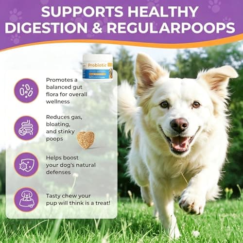 Dog Probiotic Chewable Tablets with Prebiotic & Digestive Enzymes, Daily Gut Supplement for All Breed Dogs, Pork Flavor 90 Count - Thumbnail 5