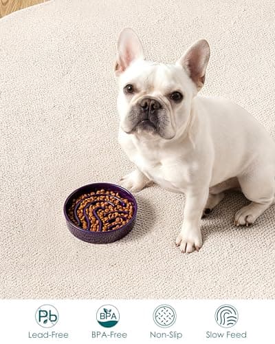 vancasso Slow Feeder Dog Bowl, 0.6 Cup Ceramic Slow Feeding Food Dish for Small Breed, Puzzle Dog Food Bowl for Fast Eater, Dark Purple - Thumbnail 5
