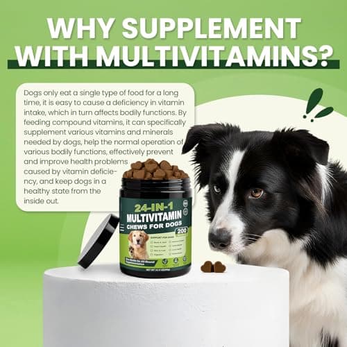 24-in-1 Dog Multivitamins Chewable, 200 Count Dog Vitamins and Supplements with Glucosamine Chondroitin Probiotics Omega-3 for Skin Coat Hip Joint Heart Liver Brain Eye Support - Chicken - Thumbnail 4