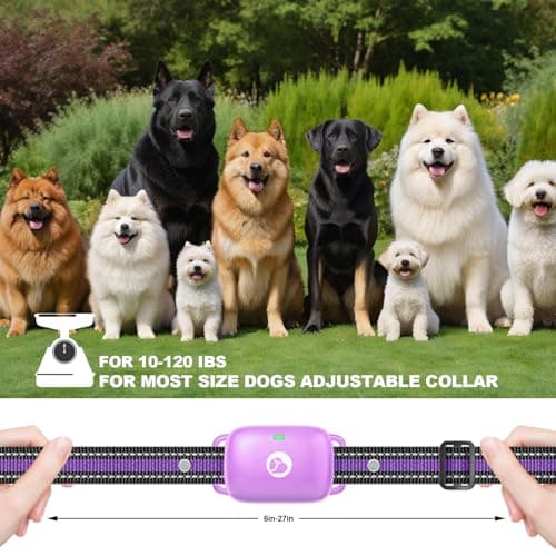 Heaflex Dog Shock Collar - 2600FT Dog Training Collar with Remote, 3 Modes(Beep/Vibration/Shock), Security Lock, IP68 Waterproof Rechargeable E-Collar for 10-120lbs All Breeds (Purple) - Thumbnail 5