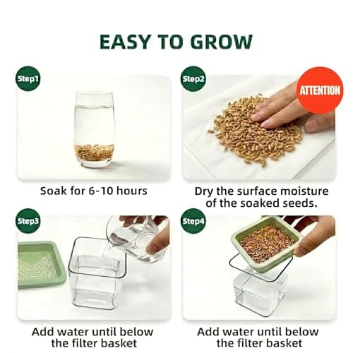 Hydroponic Cat Grass Kit with 5 Pack Non GMO Seeds & Scissors – Small Size for Frequent Fresh Batches, Grow up to 5 Times, Easy 3-Step Setup, Gifts for Cat Lovers (Food-Safe PP&AS, 7-Day Growth) - Thumbnail 2