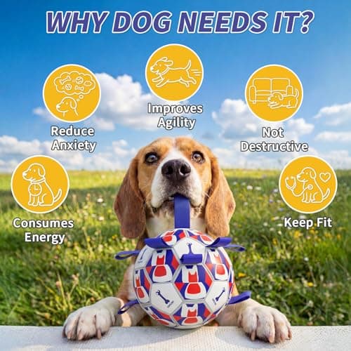 VOXGET Interactive Dog Ball Toys, 2026 Dog Soccer Ball with Thicken Straps for Small Medium Breeds Tug of War, Small Herding Balls with Pump for Puppy Dogs Outdoor Play Training (Blue, 6 Inch) - Thumbnail 6