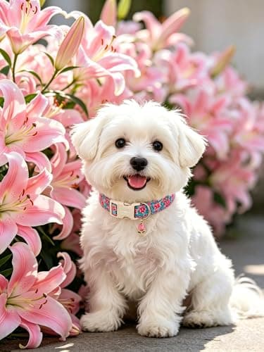 Lionet Paws Floral Dog Collar Summer Lily Collars with Pink Daisies Pattern Pendant - Female Girl Dog Collar for Small Medium Large Dogs S - Thumbnail 2