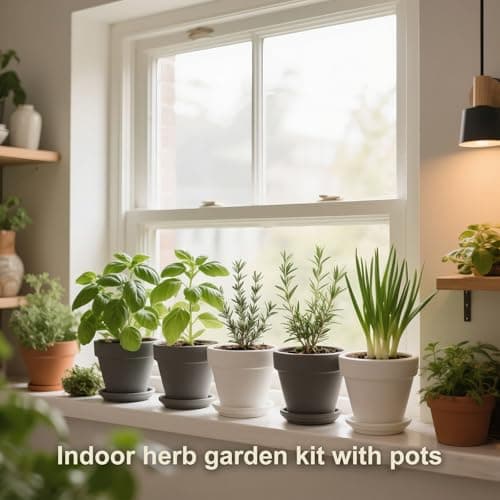 10 Indoor Herb Garden Kit, 33pcs Complete Kitchen Herb Starter Set Including 4-Color Pots, Soil & Tools, Unique Gift Ideas for Plant Lovers, Women, Men, Mom, Friend, Birthday, Housewarming, Christmas - Thumbnail 6