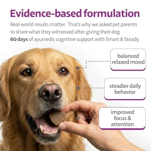 Ayourpets Senior Dog Brain & Cognitive Support Chews – Memory, Focus & Mental Clarity with Brahmi, Ashwagandha & Omega-3 – Ayurvedic Herbal Formula – Fish Flavor – 90 Count - Thumbnail 2