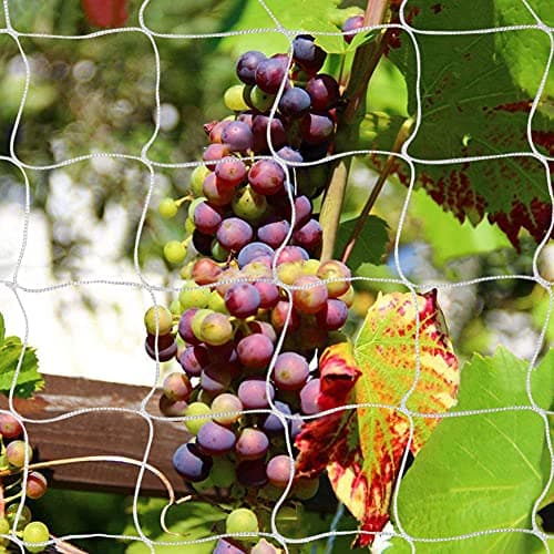Tcamp Heavy-Duty Polyester Garden Trellis Netting Plant Climbing Net for Growing Vines Plants Vegetables Fruits Flowers, White Grow Tent (5Ft x15Ft, 3.5" Opening Mesh, 1 Pack) - Thumbnail 2