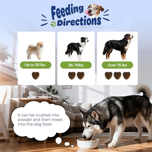 Xiderdl Dog Probiotic Soft Chews – 6-Strain Blend for Digestive & Immune Health – Supports Gut Balance, Reduces Gas, Tasty Daily Treat for Dogs-120 Count - Thumbnail 6