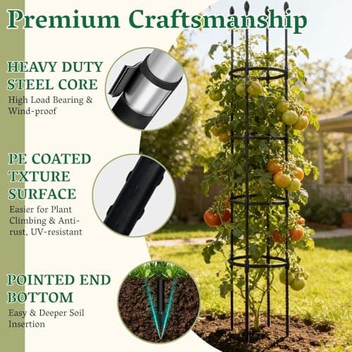 2 Pack Tomato Cages for Garden | Heavy Duty Rustproof Round Tomato Cage | 63 Inch Steel Core Plastic Coated Garden Trellis Plant Support for Tomato, Cucumber, Beans, Flower, Vegetable Indoor Outdoor - Thumbnail 4