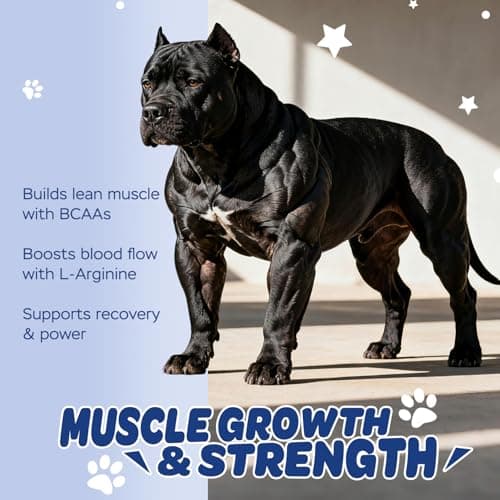 Xiderdl 11-in-1 Muscle & Weight Support Chews for Dogs – High Protein Supplement with Amino Acids, BCAAs, Antioxidants & Vitamins – Muscle Support Soft Chews for Puppies & Adult Dogs, 120 Count - Thumbnail 2