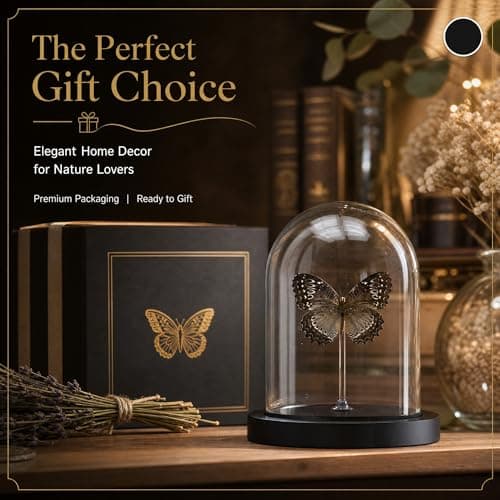 Real Taxidermy Butterfly Specimen Shadow Box, Butterfly Gifts for Women Girls with Glass Cover, Butterfly Decor for Bedroom Office Living Room Desk ﻿ Cethosia bibles Drury - Thumbnail 5