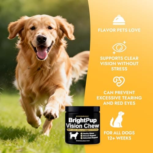 Bright Pup Dog Vision Chews - Eye Health Supplement for Dogs, Bilberry, Omega-3, Vitamins A, C & E, Supports Vision Clarity & Eye Health, Bacon Flavor, 30 Soft Chews(1PC) - Thumbnail 3