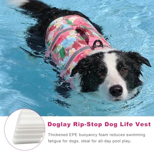 Doglay Dog Life Jacket, Dog Life Vest for Swimming Boating, Adjustable Puppy Life Jacket with Reflective Stripes, Superior Buoyancy Pet Swimming Vest for Small Medium and Large Dogs - Thumbnail 4