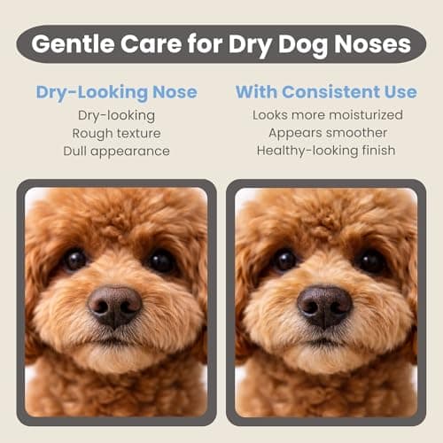 Ali+Oli Pets Paw & Nose Balm for Dogs – Daily Paw Care Grooming Balm with Organic Oils – Gentle Moisturizing Balm for Dry, Rough Paw Pads - Thumbnail 4