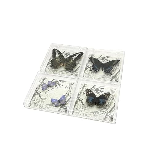 Wugakio 6pcs Collected Butterfly Specimen Display Box Educational Transparent Butterfly Showcase for Students for Home Decoration and Teaching Aid for Collectors and Nature Enthusiasts - Thumbnail 3