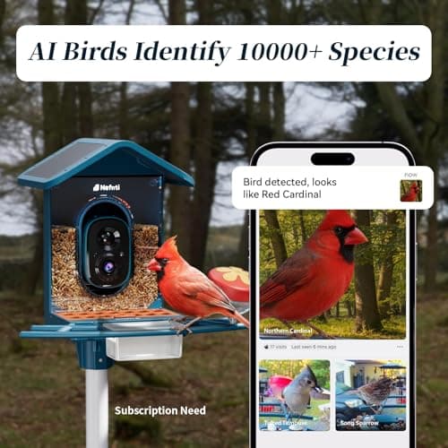 Smart Bird Feeder with Camera Solar Powered, 5GHz/2.4GHz, 2K HD Live View, AI Bird Species Identify, Instant Arrival Alerts, Weatherproof Outdoor Bird Feeder Camera, Best for Bird Lovers - Thumbnail 2