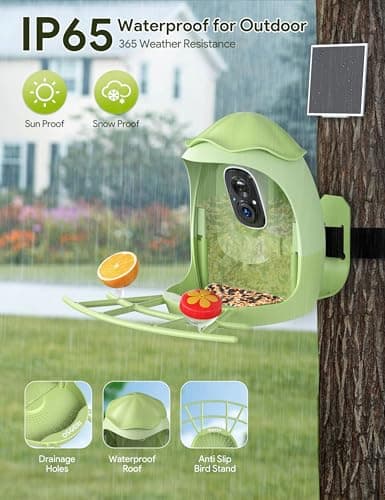 ​Osoeri AI Smart Bird Feeder with Camera - 2K HD Live Video & AI Identify Birds, Solar Powered Birdfeeder for Outdoors, 2.4GHz WiFi, Real-Time Alerts, Best Gifts for Bird Lovers & Families - Thumbnail 5