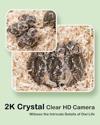 Owl Box with Camera Solar Powered,Large Pinewood Owls Nesting Box for Screech owl,4G Cellular,2K HD,Instant Alerts,Night Vision,APP Control,Nest Box for Outside（NOT WiFi） - Thumbnail 5