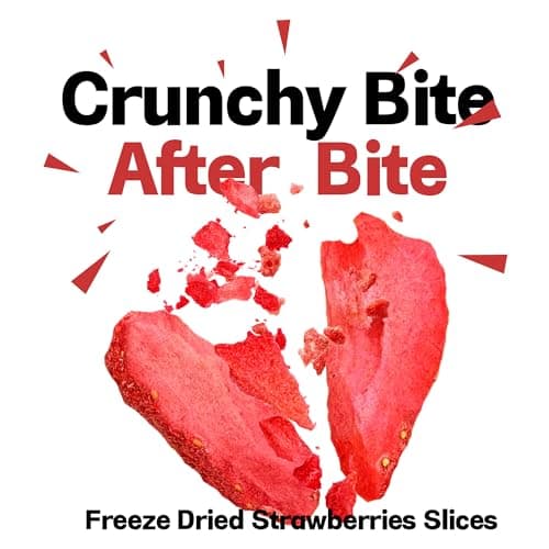 16 oz Freeze Dried Strawberry Slices (Pack of 1) | Sugar Free & No Additives Dehydrated Strawberries for Smoothies, Yogurt, Cereal & Baking, Crispy Dry Fruit Snacks Perfect for Travel, Hiking, Lunch Boxes - Thumbnail 3