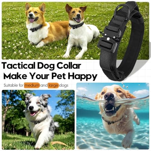 Relux Tactical Dog Collar with Handle - Adjustable Pet Collar Designed for Medium Dogs with Heavy-Duty Metal Buckle, Durable and Comfortable Dog Collar, Suitable for Medium Dogs (Black, L) - Thumbnail 6