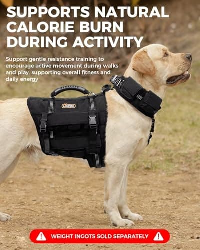 LISPOO Tactical Weighted Dog Vest for Exercise with Adjustable Weighted Collar, Pocketed Design, Dog Weight Vest Suitable for Walking, Strength Training, Muscle Building with Medium & Large Dogs (L) - Thumbnail 3