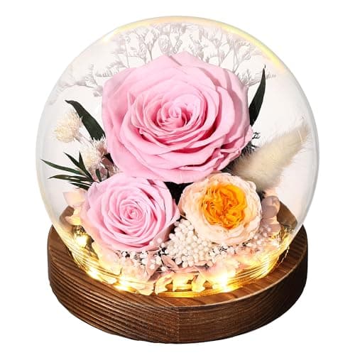 Eaprala Gifts for Her Preserved Flower Rose in Glass Dome Gifts for Women Mom Wife on Birthday Chrismas,Home Decoration.Pink