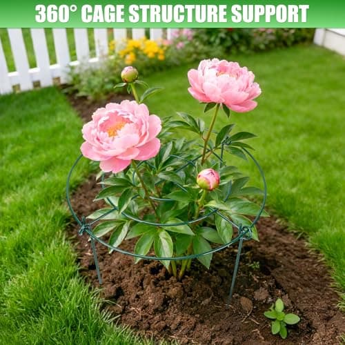 Peony Cages and Supports 8 Pack, 11.5 x 20 Inch Heavy Duty Plant Support Cage Set for Peonies, Roses & Tomatoes – Garden Stakes & Plant Cages for Outdoor Plants (8 Pack, 11.5 x 20 Inch) - Thumbnail 2