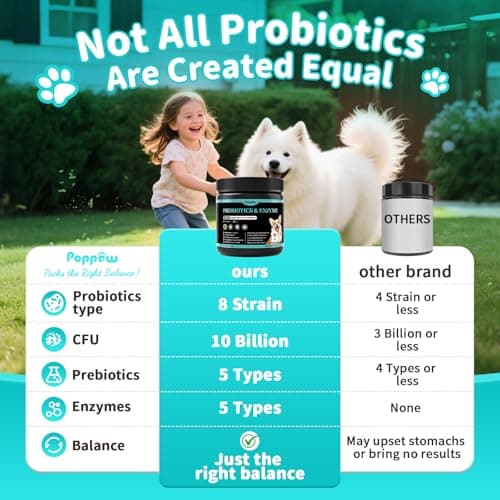 Probiotics for Dogs, Digestive Enzymes & Pumpkin Fiber for Gut Health and Bowel Support, Dog Supplement for Gas Relief & Constipation, 10B CFU with 5 Prebiotics & 5 Enzymes, 90 Count Beef Flavor - Thumbnail 3