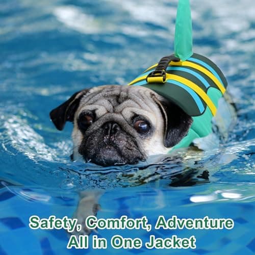 Fragralley Shark Dog Life Jacket, High Buoyancy with Tear-Resistant Nylon, Dog Float Vest for Swimming and Boating, Pet Life Preserver for Small Medium Large Dogs (PFD) - Thumbnail 3