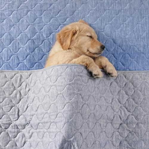 Cozy Bliss Deluxe Leakproof Cooling Blanket for Large Dogs Q-Max 0.46, Soft & Durable Washable Pet Cooling Mat for Hot Weather, Livingroom, Couch & Bed Protector for Cats, Silver Grey, 60"x80" - Thumbnail 3