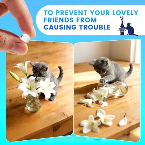 Clear Exhibit Gel for Museum, 6.7 oz Reusable Museum Putty, Removable & No Residue Adhesive Gel Wax for Securing Collectibles, Antiques & Decorations, Prevent Falling, Sliding & Vibration - Thumbnail 3