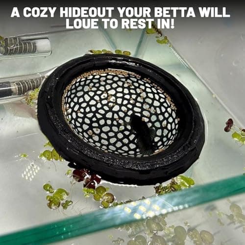 Ptazucv Floating Betta Hammock & Shrimp Shelter – 3D Printed Aquarium Decor with Feeding Ring, Safe Resting Spot for Betta Fish, Shrimp and Small Fish（Black） - Thumbnail 4