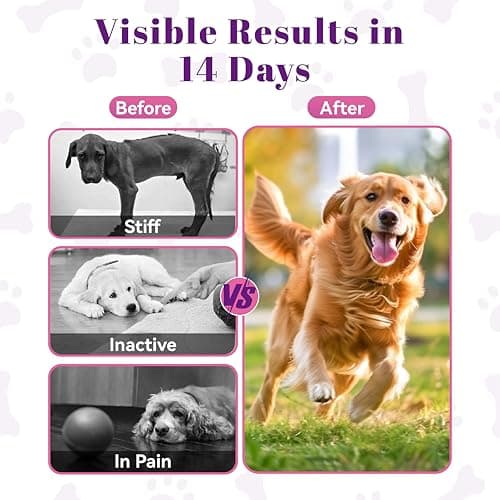 Glucosamine for Dogs Hip and Joint Support - Dog Joint Supplement with Chondroitin, MSM, Turmeric & Omega 3 - Relief for Joint Pain & Inflammation - Mobility & Flexibility - 150 Soft Chews, Chicken - Thumbnail 5