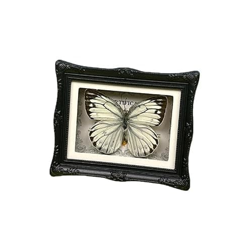 1Pcs Real Butterfly Framed Handmade, Taxidermy Butterfly Shadow Box Collection, Framed Butterfly Taxidermy for Oddities and Curiosities Gifts Tabletop Ornaments (#17-butterfly Specimen+photo Frame) - Thumbnail 3
