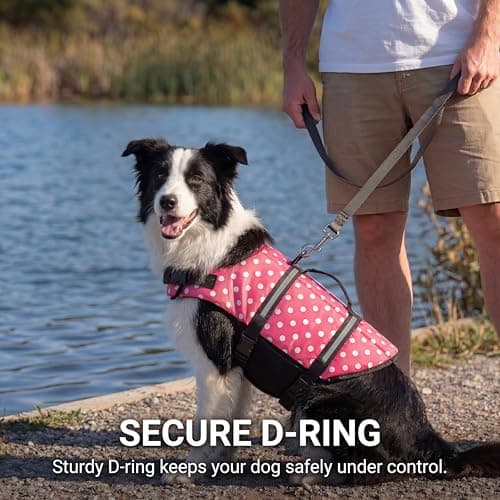 Doglay Dog Life Jacket with Rescue Handle, Dog Life Vest for Swimming Boating, Adjustable Reflective Puppy Swim Vest with Superior Buoyancy for Small Medium Large Dogs - Thumbnail 5