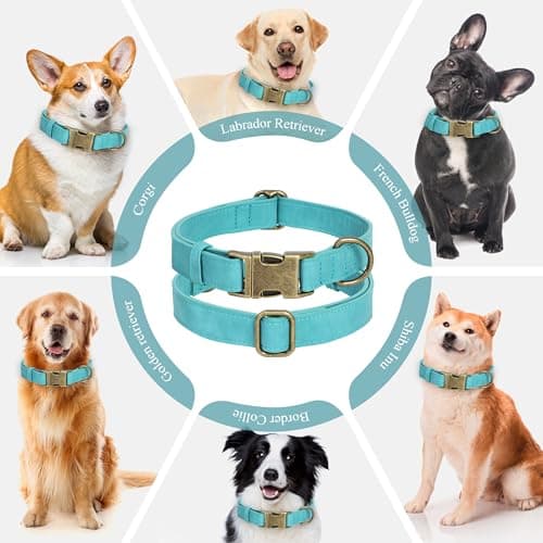 Jumpress Soft Leather Dog Collar for Small Medium Large Dogs, Heavy Duty Dog Collar Leather with Quick Release Metal Buckle, Durable & Adjustable for Large Dogs Walking (Teal Blue, L) - Thumbnail 3