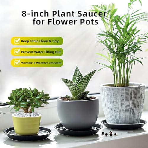 Garrdeen 6 Pack 8 Inch Black Plant Saucers, Heavy Duty PP Plastic Plant Trays for Pots, Durable Flower Pot & Planter Saucers, Water Catcher Drip Trays Indoor Outdoor Use - Thumbnail 3