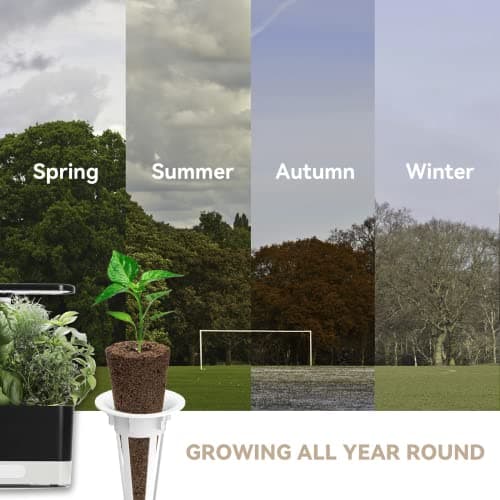 inbloom Salad Green Seed Pod Kit for AeroGarden, Ahopegarden, GARDENCUBE, MUFGA, 7 Pods (350+ Seeds with American Fast/Paris Island/Buttercrunch Lettuce, Swiss Chard, Spinach, Cauliflower, Cabbage) - Thumbnail 6