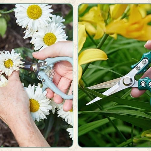 Modern Sprout Pruning Shears - Herb Snipping Scissors- Lightweight Gardening Tools W/Easy Lock - Flower Cutter Garden Shears - Carbon Steel Blade + Reusable Holster (Ocean, 1-Pack) - Thumbnail 6