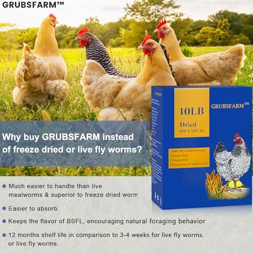 GRUBSFARM Premium Chicken Treats 10LB - Superior to Dried Mealworms - Non-GMO & 85X More Calcium Than Meal Worms - Molting & Laying Supplement - BSF Larvae Treats for Layer Hens, Ducks Wild Birds - Thumbnail 4