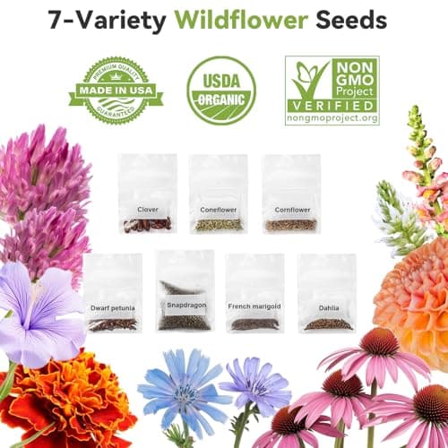 inbloom 12-Pod Flower Seed Pod Kit for AeroGarden, iDOO, Ahopegarden, MUFGA Hydroponic Growing System, Included French Marigold, Snapdragon, Dwarf Petunia, Coneflower, Dahlia, Cornflower, 400+ Seeds - Thumbnail 3