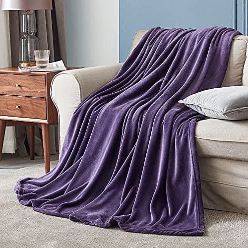 Hansleep Fleece Queen Blanket for Bed Fleece Purple, Queen Size Super Soft Flannel Fuzzy Plush Cozy Blanket for All Seasons, Purple, Queen 90x90 Inches - Thumbnail 5